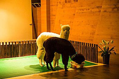 看完蜘蛛侠再变身蜘蛛侠—— PlayStation第一方大作蜘蛛侠系列限时67折